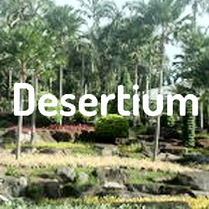Desertium (Desert Hymn)